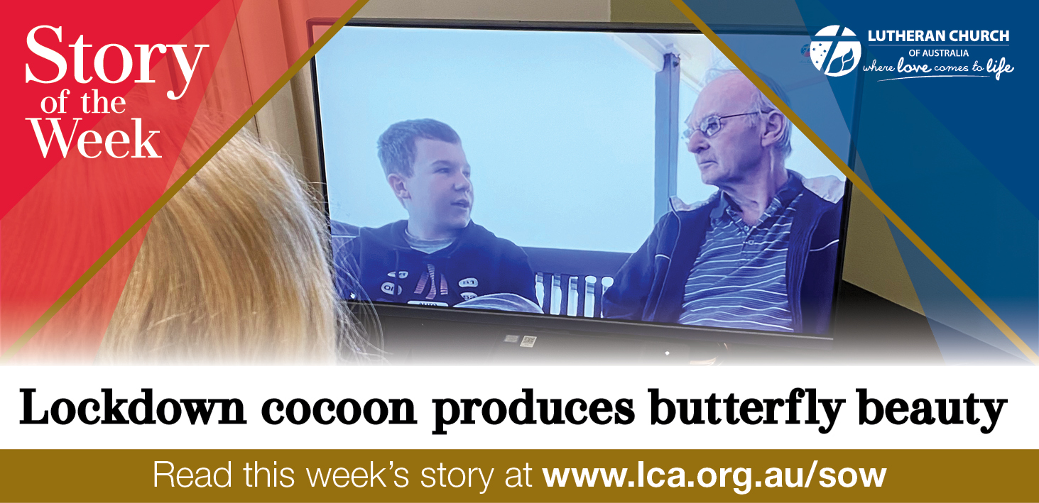 Lockdown cocoon produces butterfly beauty thumbnail