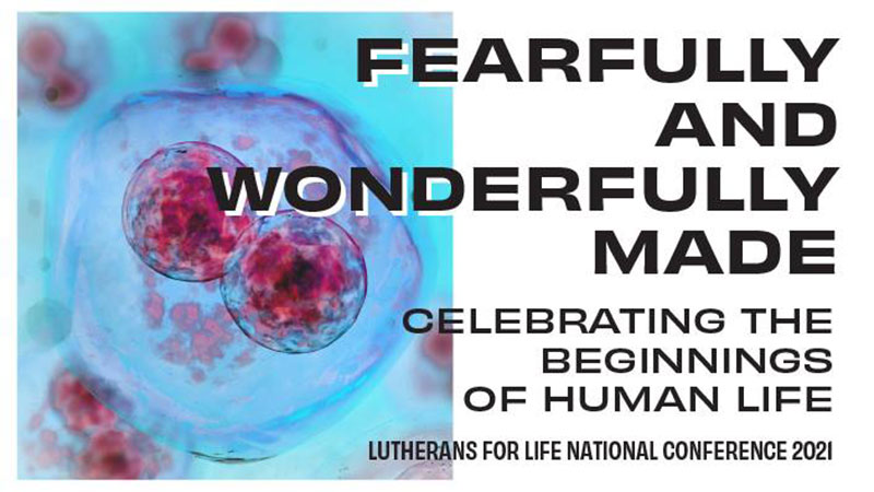 Fearfully and wonderfully made - Celebrating the beginnings of human life thumbnail