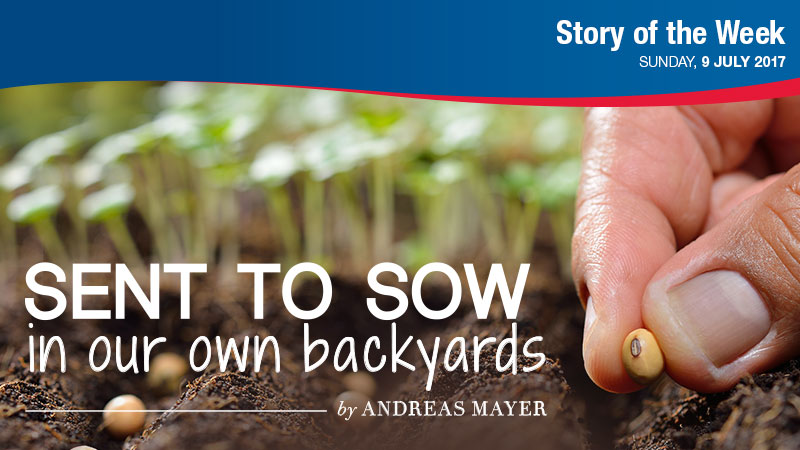 Sent to sow in our own backyards thumbnail