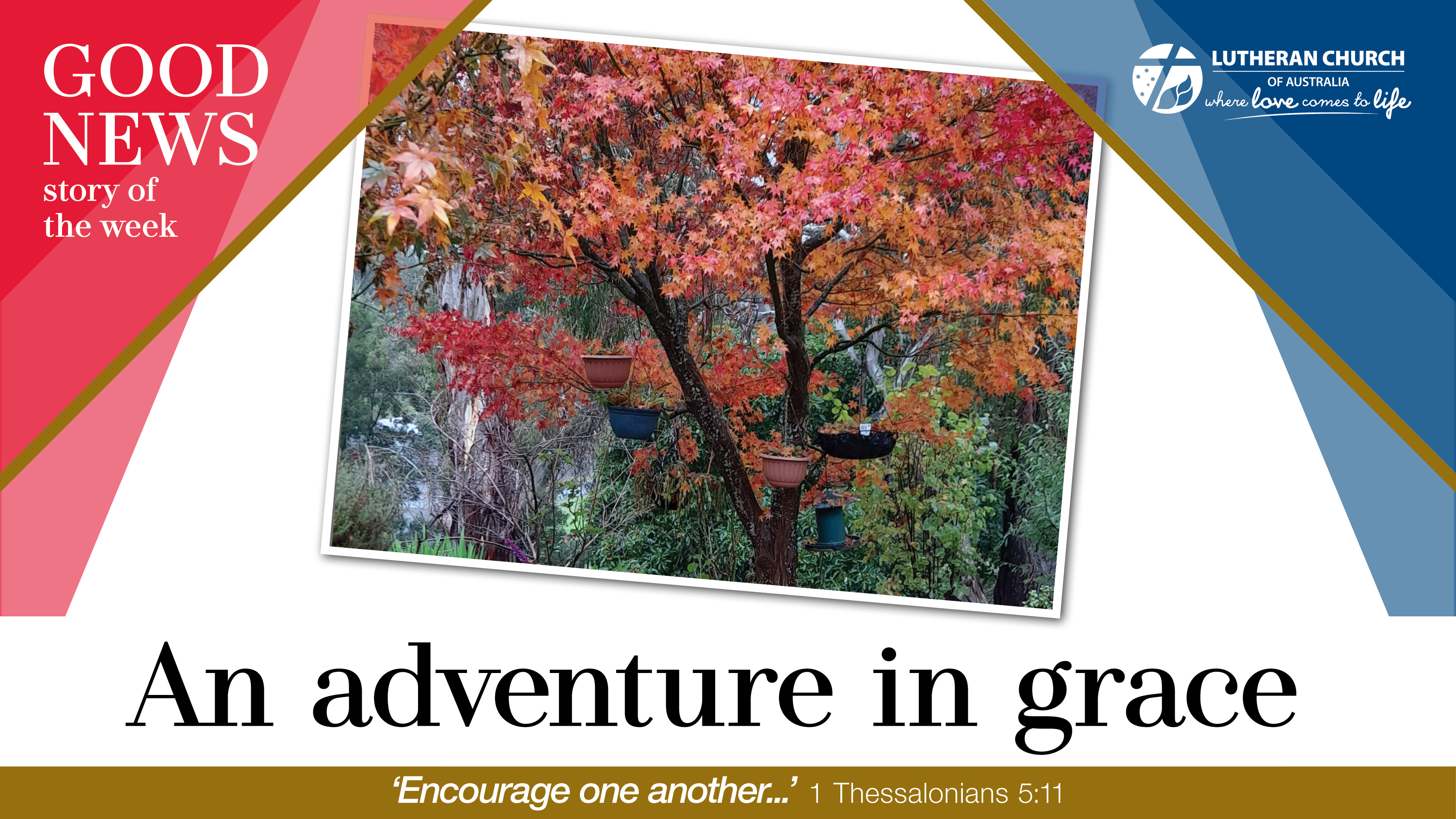 An adventure in grace thumbnail
